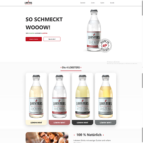 onlineshop-erstellen